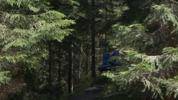 Turistas activos recorriendo un carril en el bosque de los Cárpatos en otoño en slo-mo — Vídeo de stock