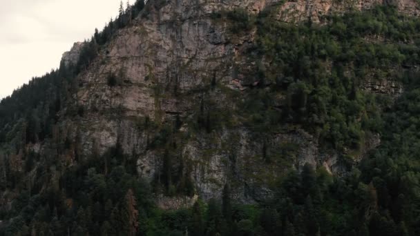 4k - el vuelo del dron a lo largo de una alta montaña rocosa con árboles de coníferas — Vídeos de Stock