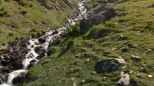 4k - Le gars ramasse une fille dans la vallée avec une rivière de montagne, action aérienne — Video