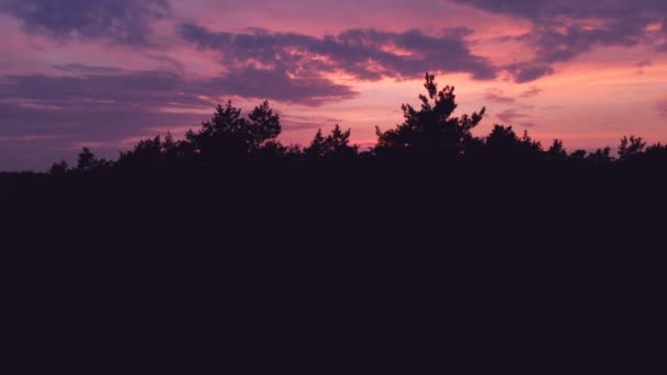 バラ色とオレンジの夕日でウクライナの暗い混合林の空中ショット — ストック動画