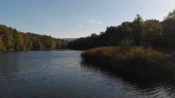 Malebná horská řeka s rákosí v Karpatech za slunného dne v létě — Stock video