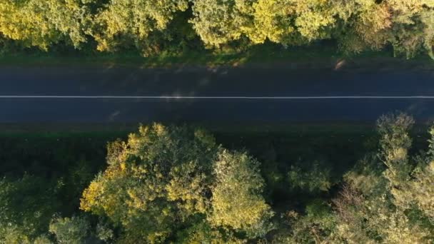 Antenn skott av den raka motor vägen i Karpaterna på sommaren — Stockvideo