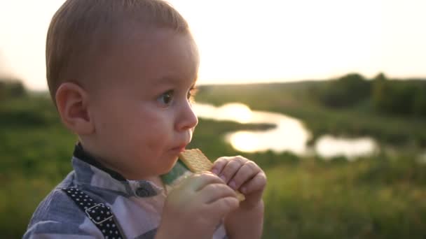 Χαριτωμένο μικρό αγόρι τρώει μπισκότα στη φύση σε ηλιόλουστη θερινή ημέρα σε αργή κίνηση — Αρχείο Βίντεο