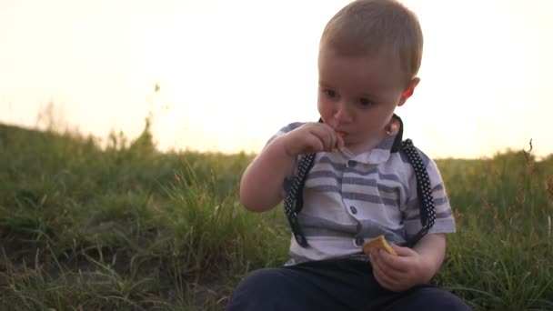 Маленький мальчик сидит на траве и ест печенье в солнечный летний день в замедленной съемке — стоковое видео