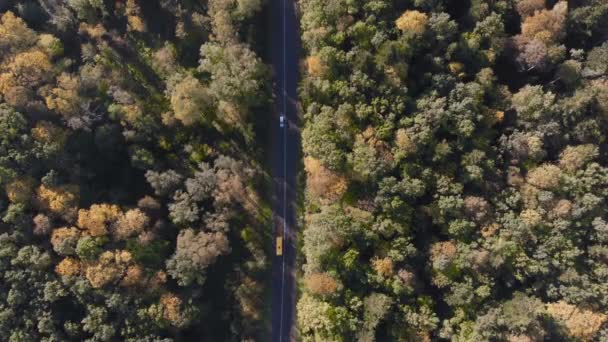 ภาพถ่ายทางอากาศของทางหลวงที่มีรถเคลื่อนที่และรถมินิบัสใน Carpathians — วีดีโอสต็อก