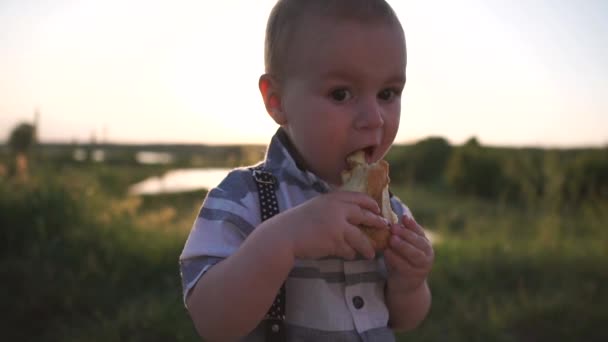Un niño lindo comiendo un pastel entre vegetación en la naturaleza, cámara lenta — Vídeo de stock