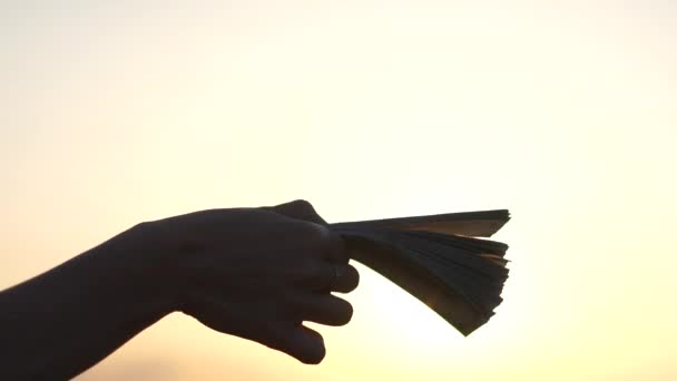 Billetes en la mano femenina contra la luz solar al atardecer, cámara lenta — Vídeos de Stock