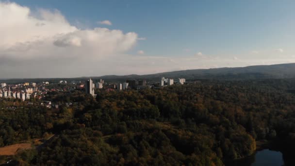 Aerial shot of the beautiful pine forest and high houses in the Carpathians — Stock Video