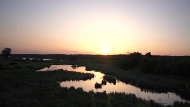 Polní rostlina je poblíž kopce nedaleko louky s rybníkem při západu slunce, pomalý pohyb — Stock video