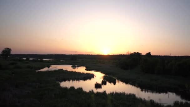 Pianta da campo da vicino su una collina vicino a un prato con uno stagno al tramonto, rallentatore — Video Stock