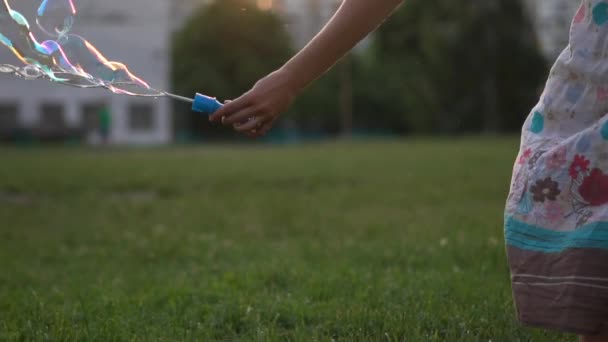 Flickan håller en pinne, blåser såp bubblor i solens strålar, slow motion — Stockvideo