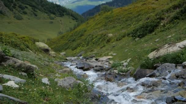 Rowdy mountain stream correndo ao longo de um desfiladeiro na Geórgia no verão em slo-mo — Vídeo de Stock