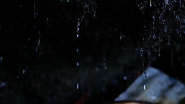 슬로모의 그루지야 산맥의 야외에서 비가 내리는 물줄기 — 비디오