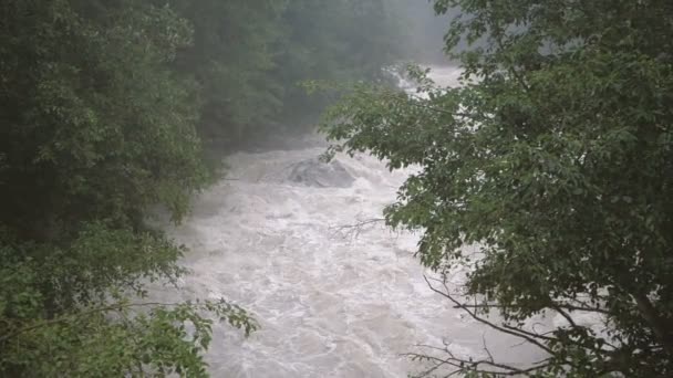 Weißer Gebirgsfluss, der im Sommer im Slo-mo in den georgischen Bergen abfließt — Stockvideo