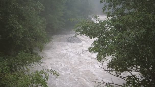 Río blanco de montaña que desciende en las montañas de Georgia en verano en slo-mo — Vídeos de Stock