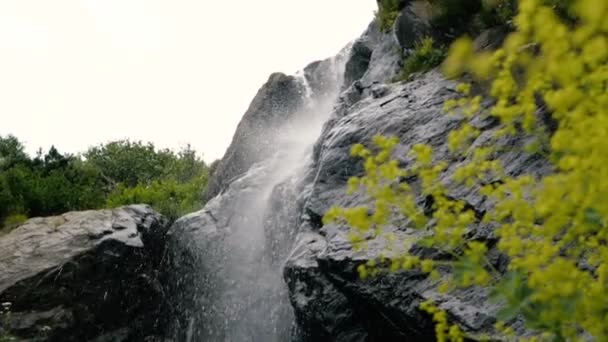 Slo-mo Gürcü Dağları'nda açık yeşil çiçekler, küçük dere ve büyük taşlar — Stok video