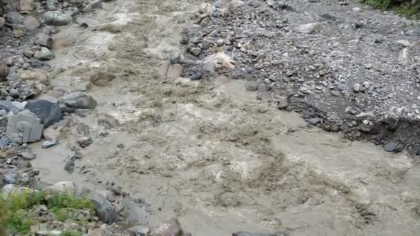 Small mountain stream flowing high in the Georgian Mountains in summer in slo-mo — Stock Video