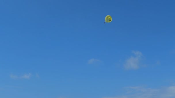 An optimistic parachuter diving down on a round parachute in summer in Georgia — Stock Video