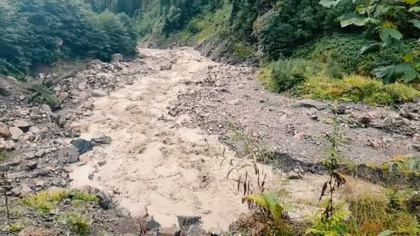 Hlučný horský potok proudící mezi zelenými stromy a keři v Gruzii v slo-mo — Stock video