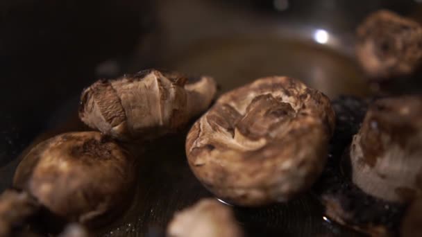 Många stekt svamp som täcker en bricka som ligger i ett mörkt kök — Stockvideo