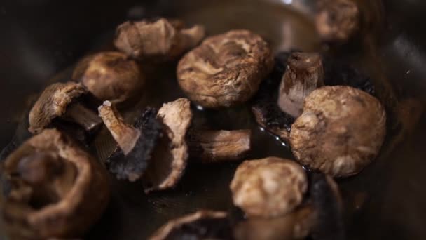 Många bakade champinjoner som täcker en metallisk i ett mörkt kök — Stockvideo
