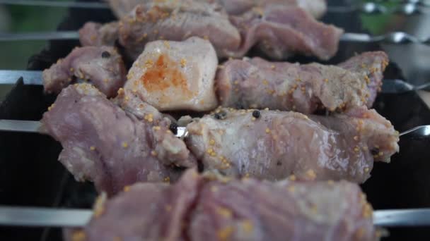Shashlik vlees gebrocheerd en gebakken over een Vuurkorf in de zomer in slo-mo — Stockvideo