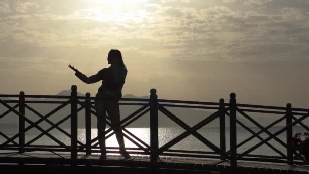 Κορίτσι που μιλάει χαρούμενα στο τηλέφωνο κοντά στη θάλασσα στο ηλιοβασίλεμα σε αργή κίνηση — Αρχείο Βίντεο