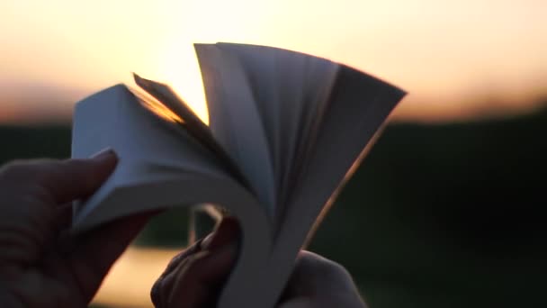 Manos femeninas mirando a través de un libro en un pequeño lago al atardecer en slo-mo — Vídeo de stock