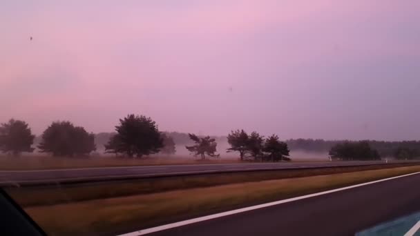 Nebelrasen und Waldstreifen aus dem Autofenster im Sommer — Stockvideo