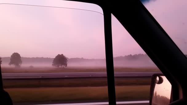 Prairies brumeuses et bandes de bois vues depuis une fenêtre automobile mobile en été — Video