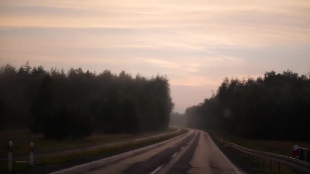 여름에 승마 차에서 본 나무 줄무늬로 윤곽이 뚜렷한 고속도로 차선 — 비디오