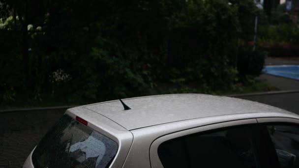 Auto estacionado está bajo una fuerte ducha en un camino de carretera en Polonia en verano — Vídeo de stock