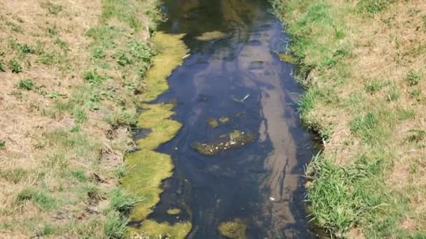 A dirty little stream flows in the city — Stock Video