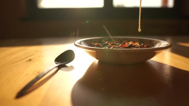 Flocos de chocolate estão em um prato — Vídeo de Stock