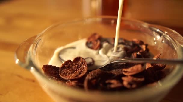 Macro shot choklad flingor ligger på en tallrik i början av morgonen — Stockvideo