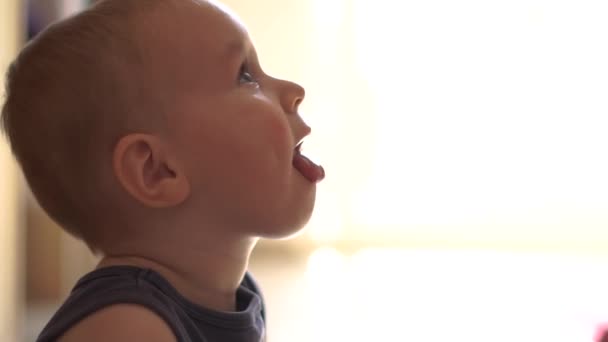 Malý chlapec vytáhl jazyk a odvrátil se v pomalém pohybu — Stock video