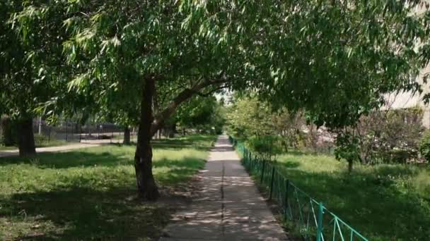 Χαλαρωτικό καταπράσινο δρομάκι με πλακόστρωτη λωρίδα στο Κίεβο το καλοκαίρι — Αρχείο Βίντεο