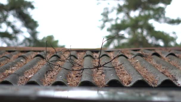 Vieja rama tendida en la pizarra del techo de un pequeño refugio en un bosque en verano — Vídeo de stock