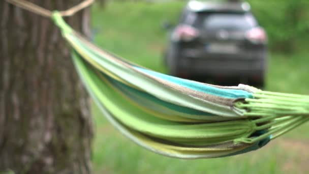 Bunte Rohrhängematte, die im Sommer an zwei Kiefern in einem Kiefernwald befestigt ist — Stockvideo