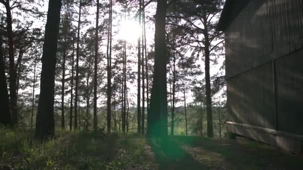 Gramado áspero em uma floresta de pinheiros com uma grande casa de madeira no verão — Vídeo de Stock