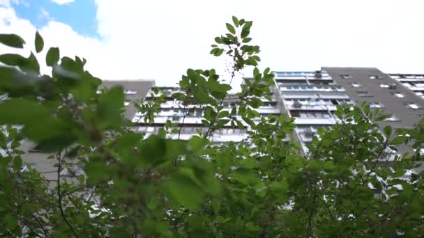 Hohes mehrstöckiges Haus aus Betonplatten und mehreren Bäumen im Sommer — Stockvideo