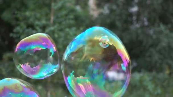 Pequeño chico rubio hace estallar grandes burbujas de color en el parque en cámara lenta — Vídeos de Stock