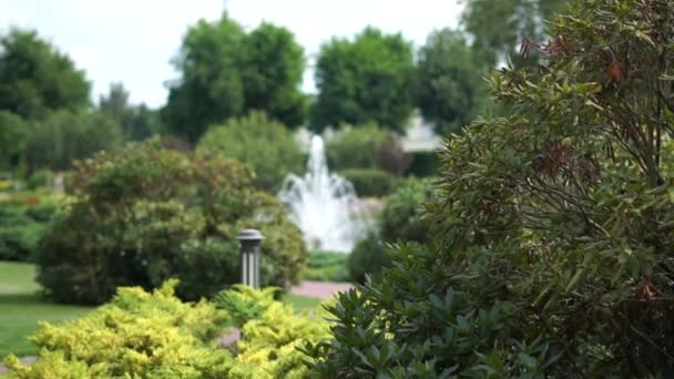 Piękny park z fontanną w letni dzień w zwolnionym tempie — Wideo stockowe