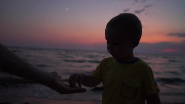 Brave bambino prendere una conchiglia e gettarlo sulla riva del mare al tramonto in slo-mo — Video Stock