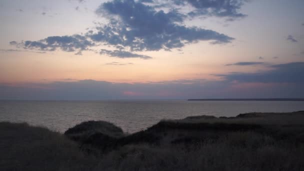 Wilder Blick auf ein grasbewachsenes Feld, das die hügelige und sandige Meeresküste bedeckt — Stockvideo
