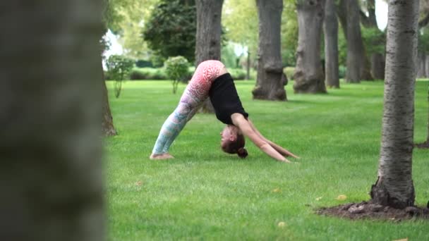 En flicka står i en hundpose, utövar yoga i sommarparken — Stockvideo