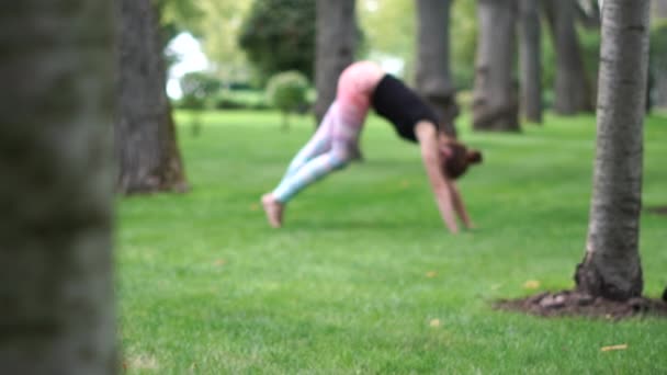 Chica joven flexible haciendo yoga en un hermoso parque desierto en cámara lenta — Vídeos de Stock