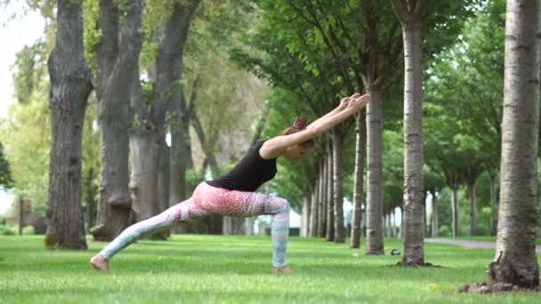 Una chica se para en una pose de yoga de un guerrero en la naturaleza en cámara lenta — Vídeo de stock