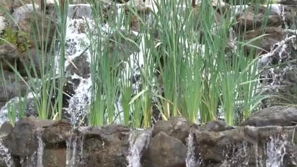 Cascada de cascada artificial en el parque en cámara lenta — Vídeos de Stock