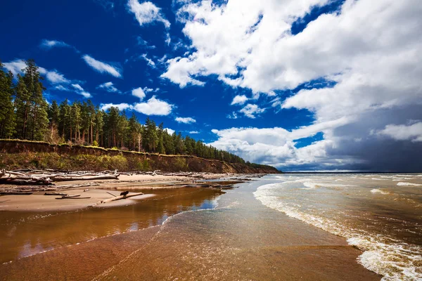 Pobřeží Řeky Chladného Dne Novosibirsk Region Nádrž Západní Sibiř Rusko — Stock fotografie